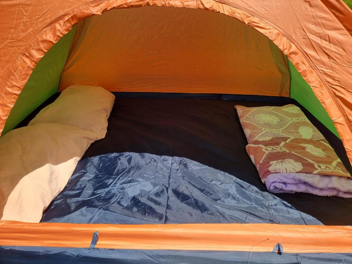 Lakeside Campsite